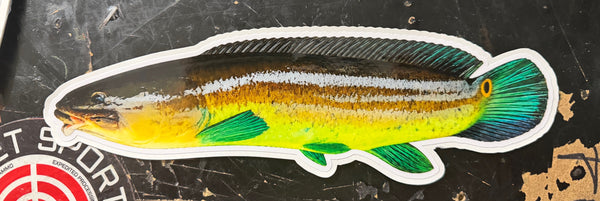 10in long Bowfin decal