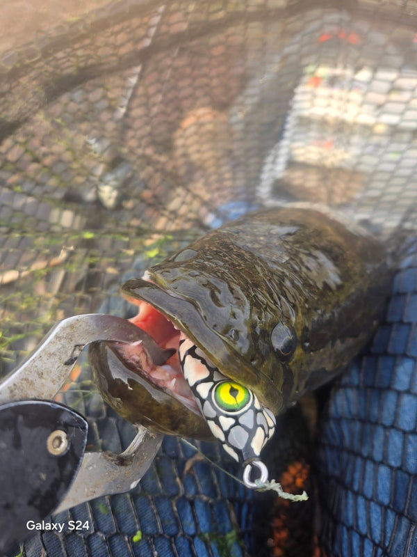 Beavercreek Lures catch photo