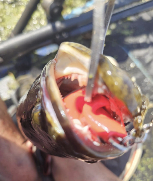 Beavercreek Lures catch photo