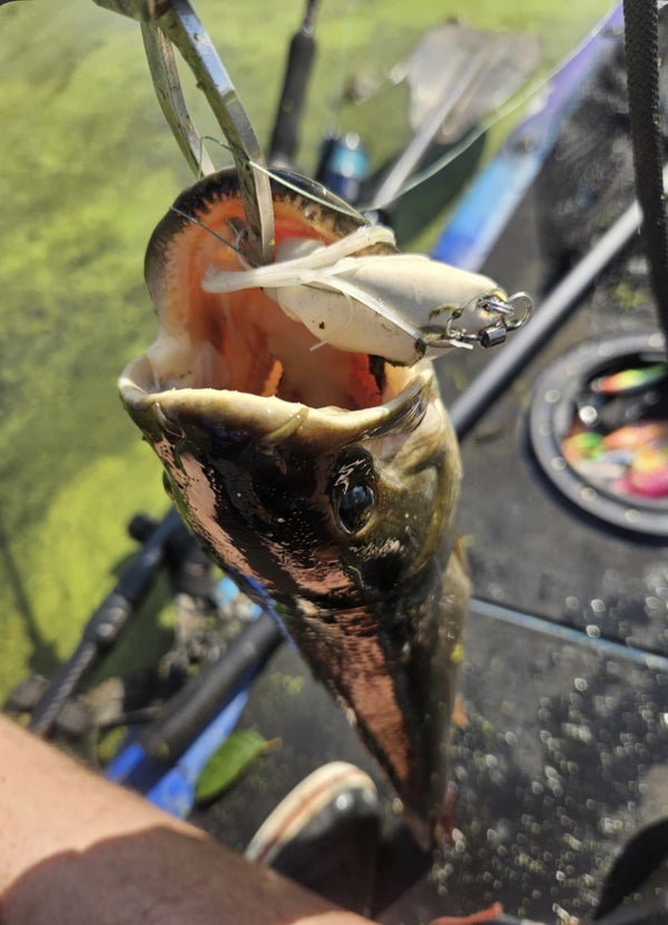 Beavercreek Lures catch photo