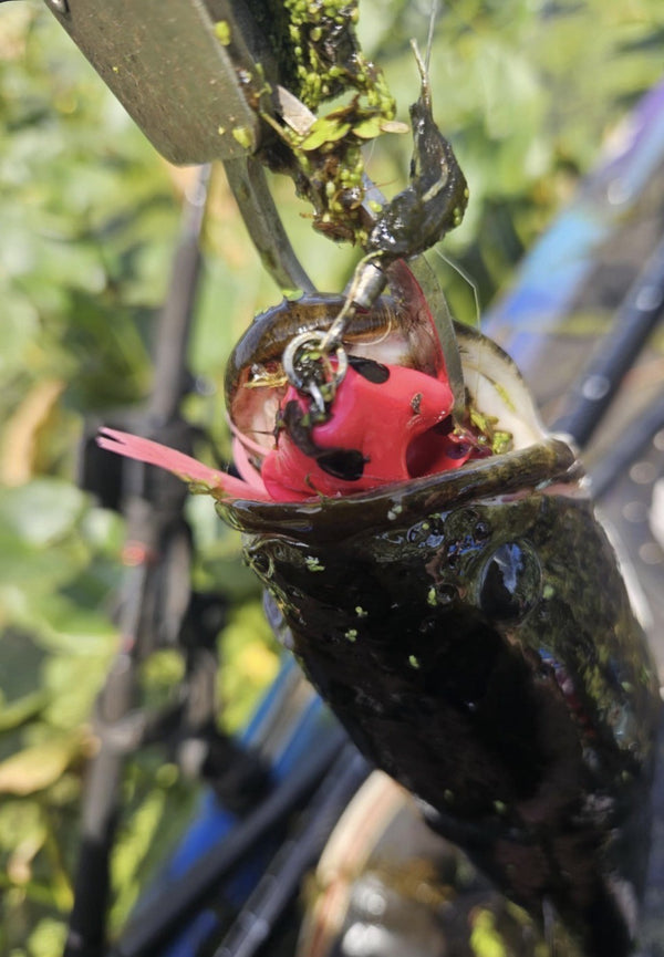 Beavercreek Lures catch photo