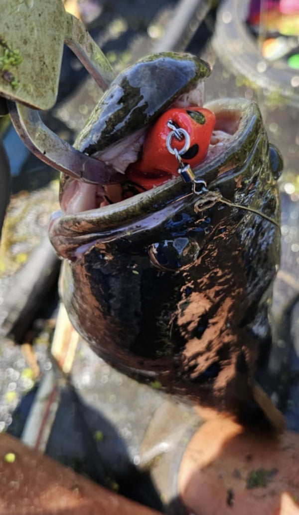Beavercreek Lures catch photo