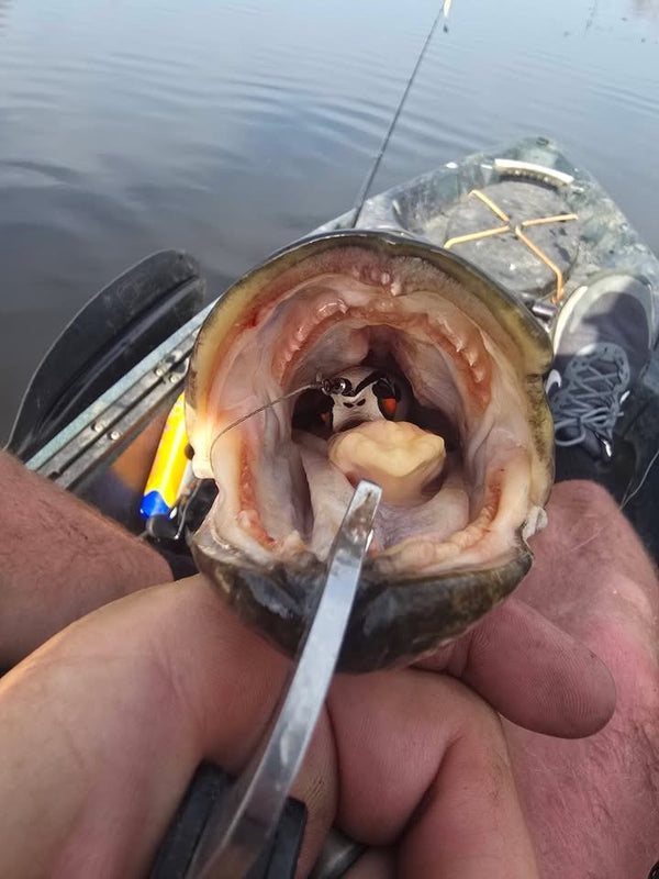 Beavercreek Lures catch photo