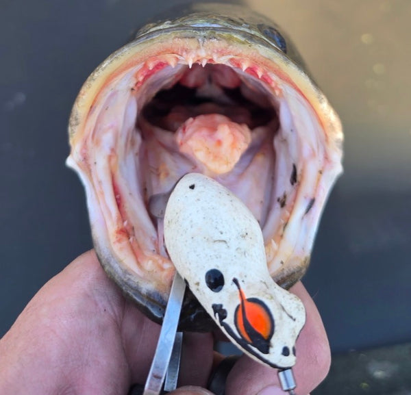 Beavercreek Lures catch photo