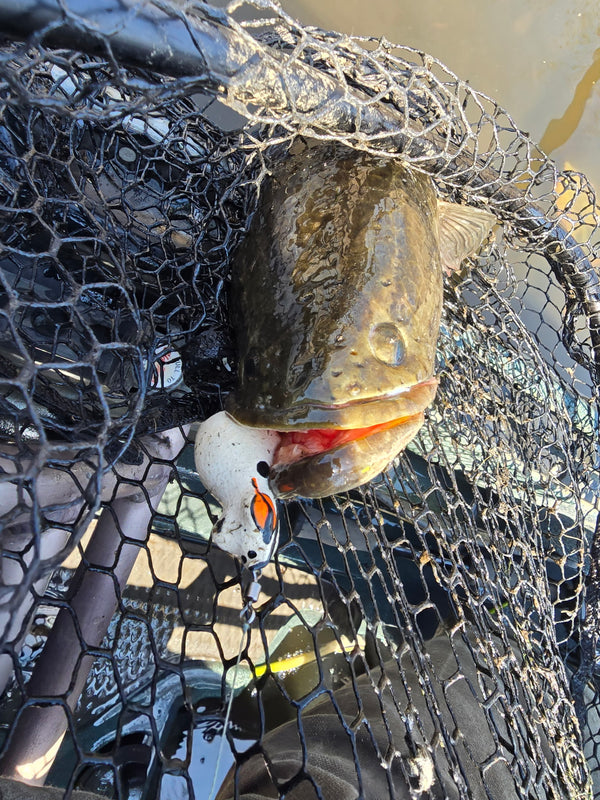 Beavercreek Lures catch photo
