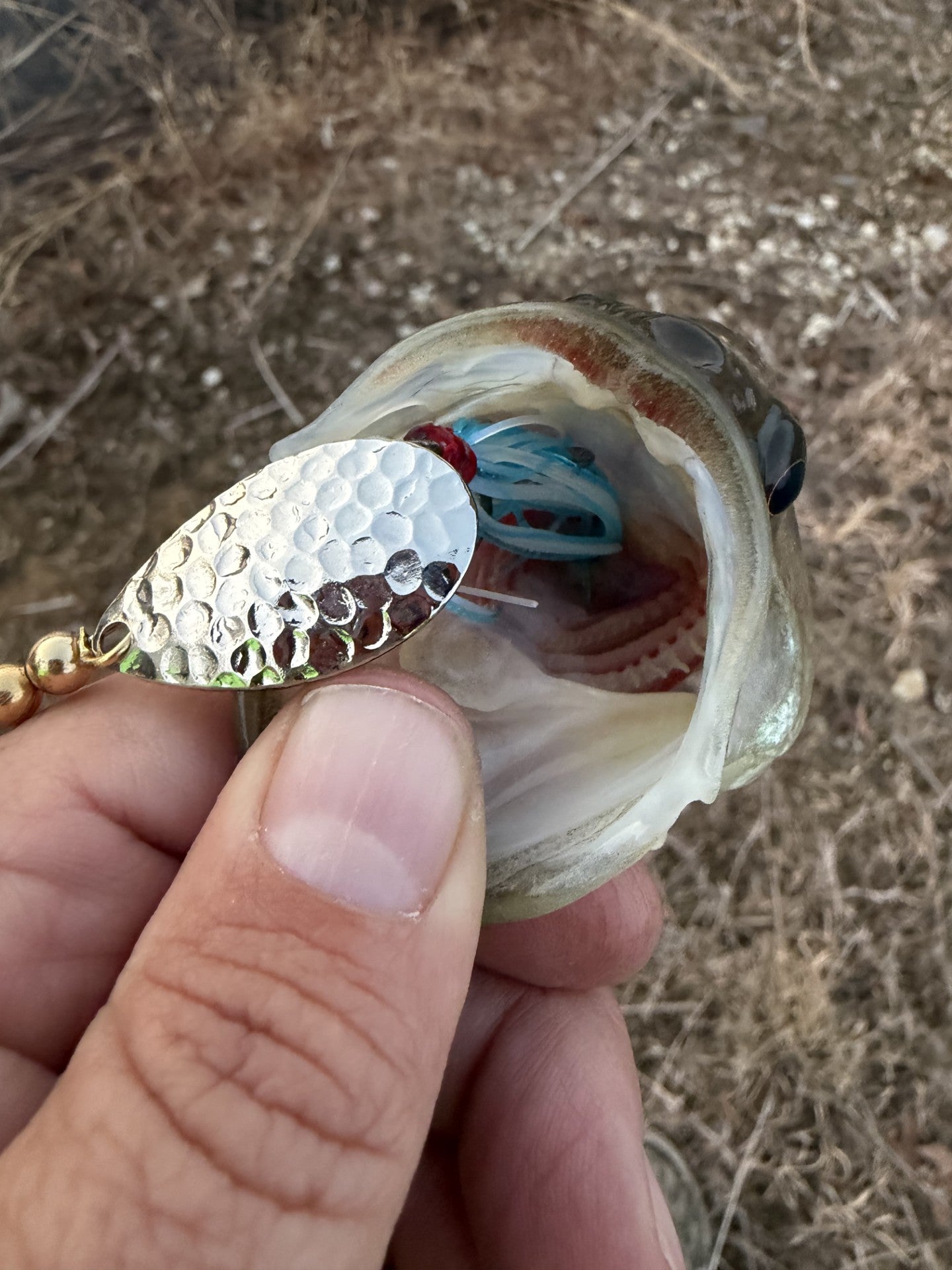 Beavercreek Lures catch photo