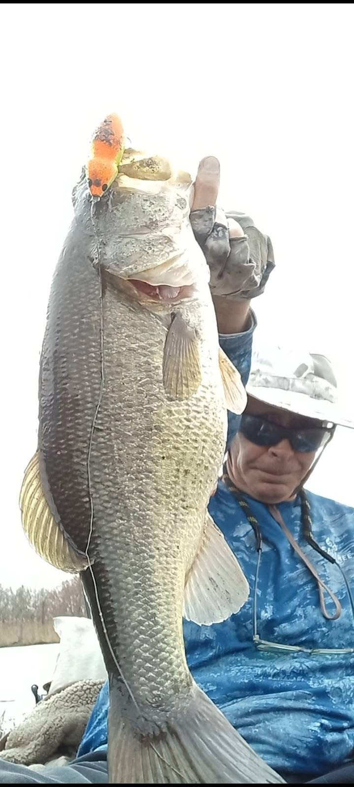 Orange Big Back Catch