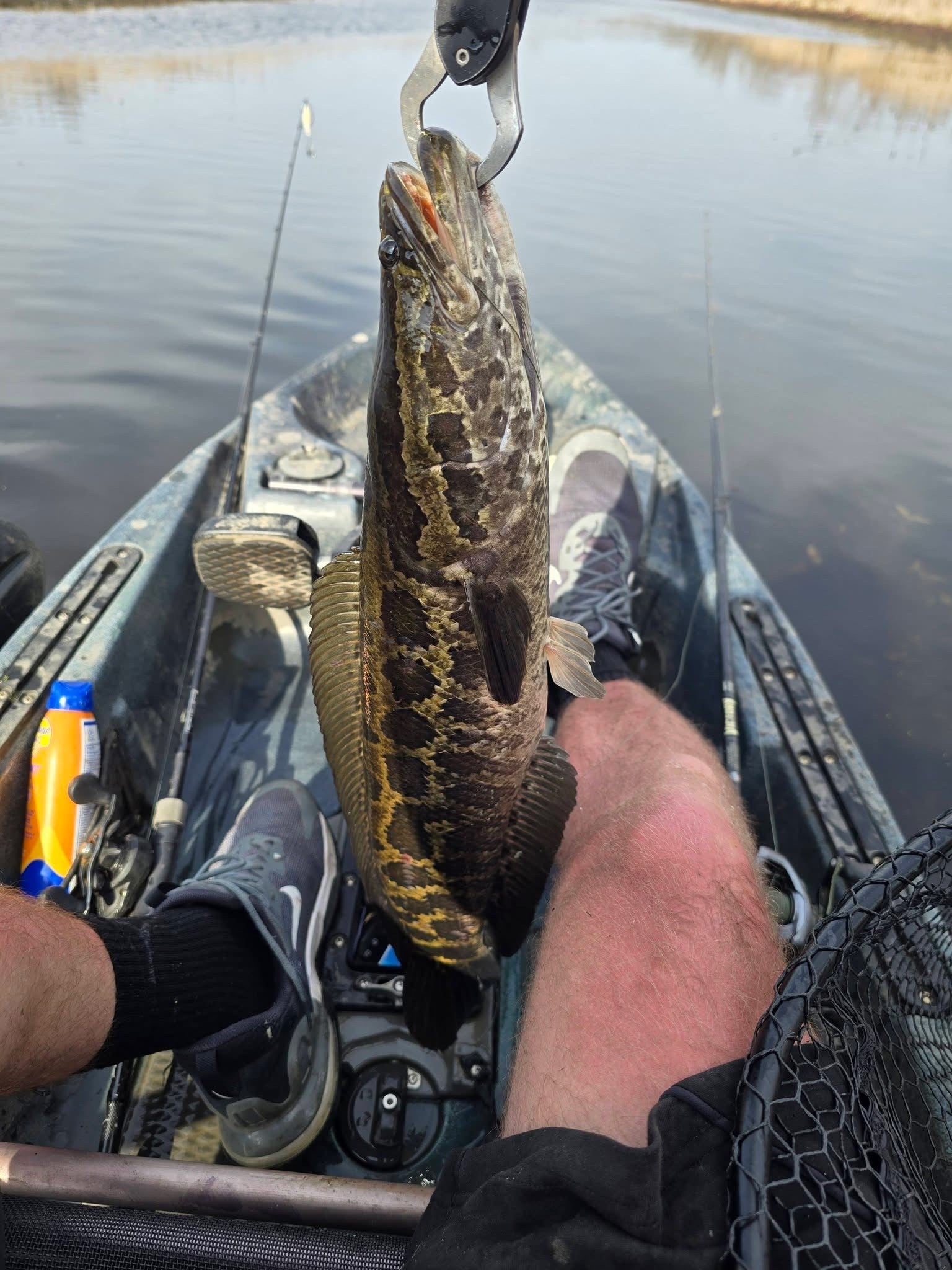 Beavercreek Lures catch photo