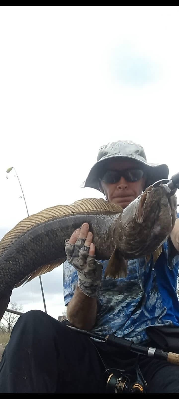 Snakehead Catch 2