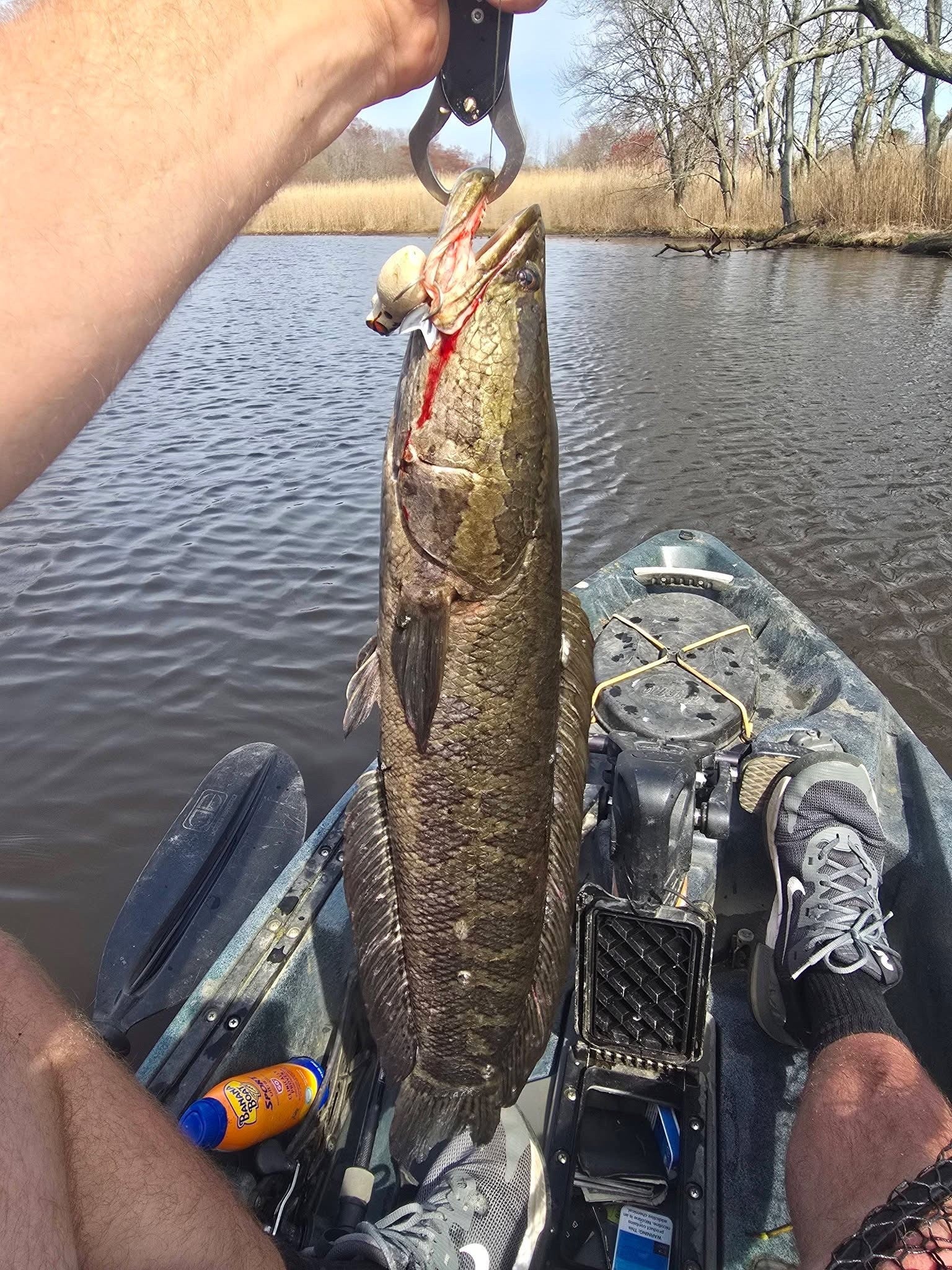 Beavercreek Lures catch photo